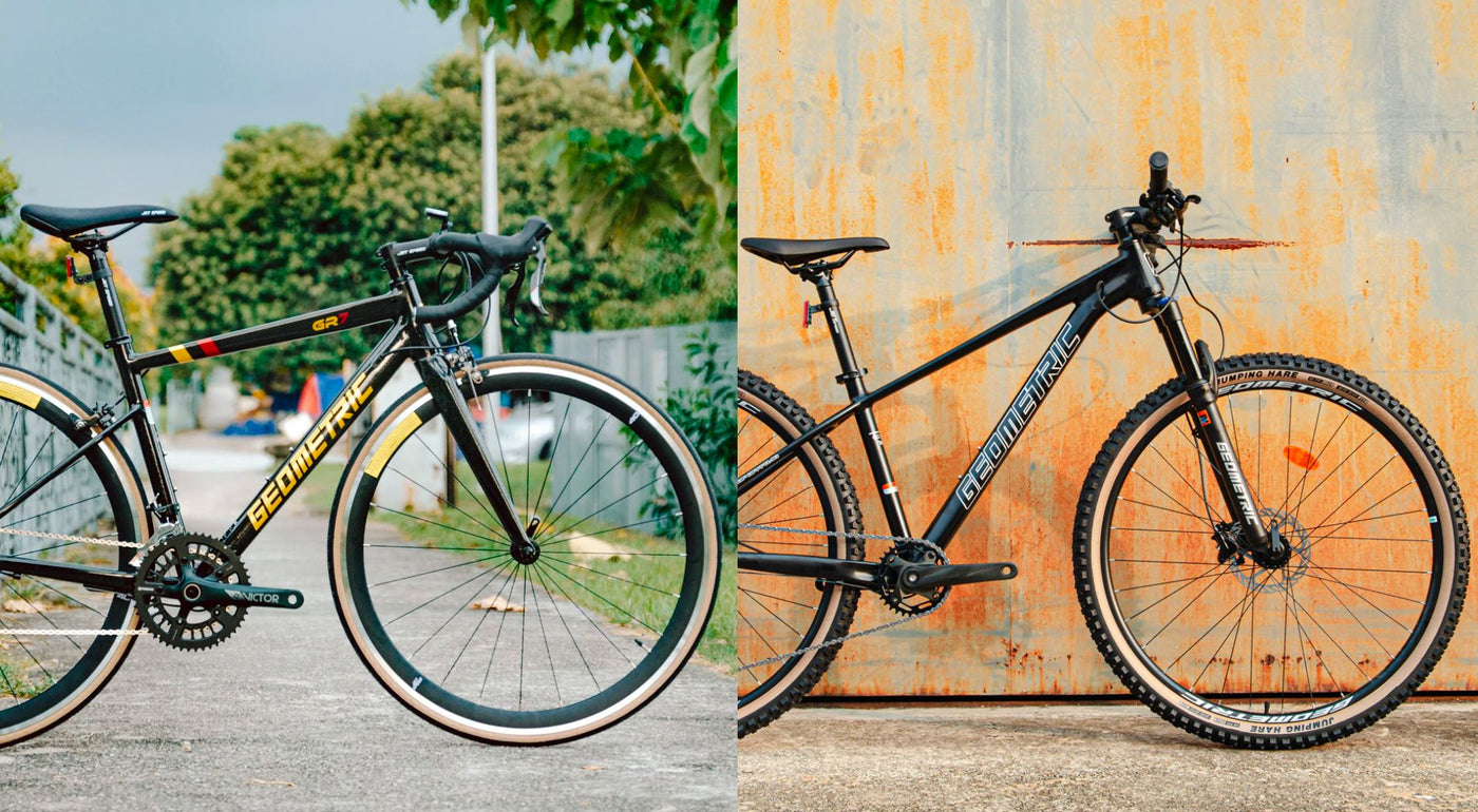Entry-Level Friendly Bicycles